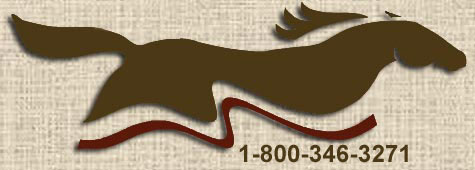 Quality Equine Insurance - Horse Trailer Insurance